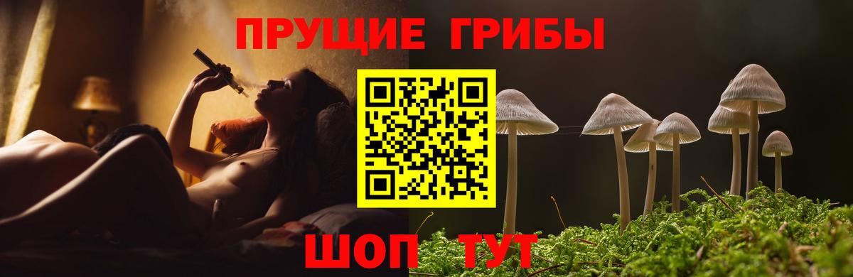 Саянск  Галлюциногенные грибы GOLDEN TEACHER  Вход с VPN 